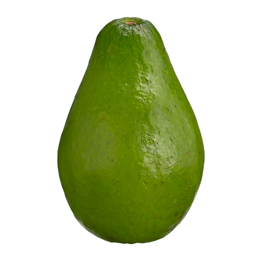 Picture of Caribbean Avocado